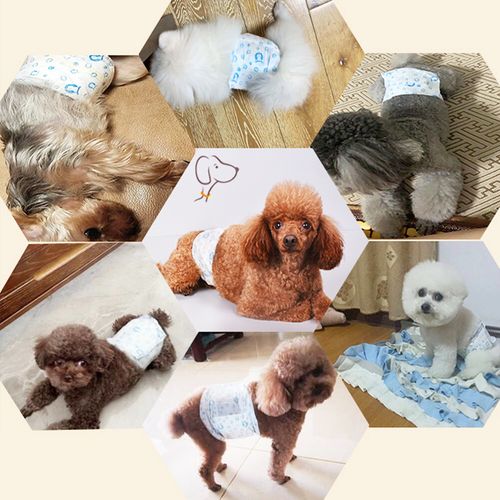 10/50/100X Female Male Dog Diapers Disposable Nappies Leak Proof Puppy Sanitary — image 11