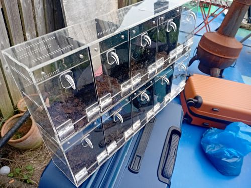 Clear Acrylic Spider/Invertebrate Enclosure Rack, Multi-Compartment Hinged Doors — image 1