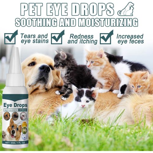 2026 Conjunctivitis Treatment Pets Eye Drops Dog Cat Horse Rabbit Eyes Care Drop — image 13