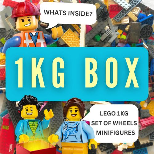 LEGO Bundle Set Joblot 1kg Bricks Parts & Pieces Minifigures Accessories Wheels