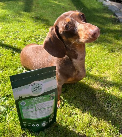 Chewable flavoured  Multivitamins & Minerals 17 Essential Vitamins  4 Dogs, Pets — image 4