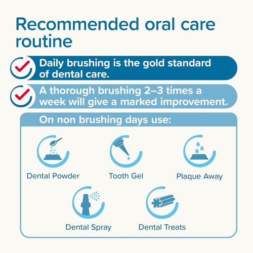 Beaphar Advanced Dual Enzyme Toothpaste Dental Care for Dogs & Cats 100g Tube — image 9