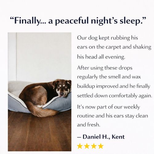 Dog Ear Drops cleans stinky itchy waxy ears  , Head Shaking Itching Odour Wax — image 5