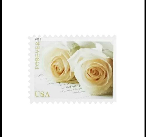 100 FOREVER STAMPS 5 SHEETS White Rose Wedding Shower  — image 4