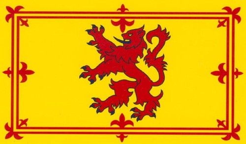 SCOTLAND LION RAMPANT FLAG 3FT x 2FT NATIONAL SCOT SCOTTISH YES SNP INDEPENDENCE