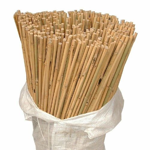 Professional Heavy Duty Bamboo Canes Strong Garden Canes Plant Support 2FT-6FT ! — image 3