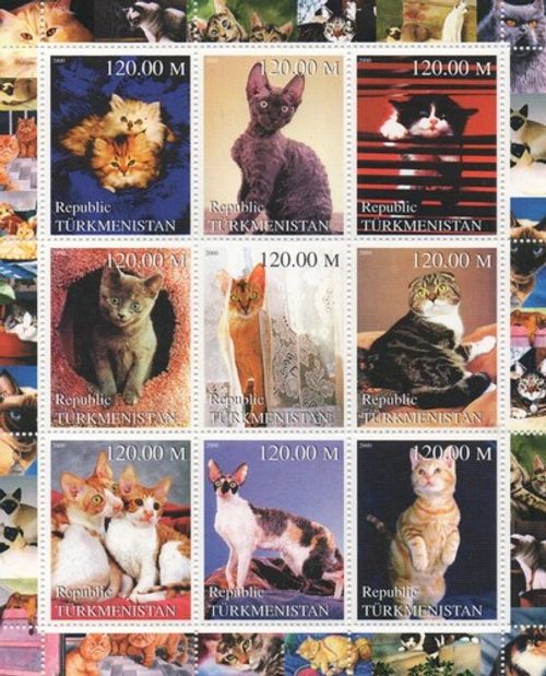 Cats feline cute kittens 2000 MNH stamp sheetlet