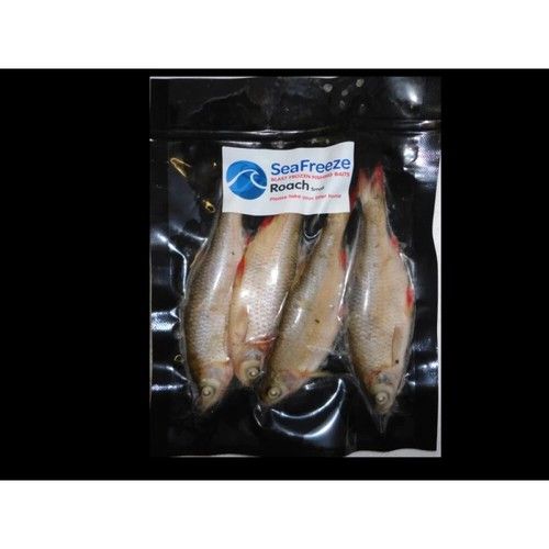 Freezer ROACH ALL SIZES Pike Predator Sea Frozen Dead Bait - BRAND MAY VARY