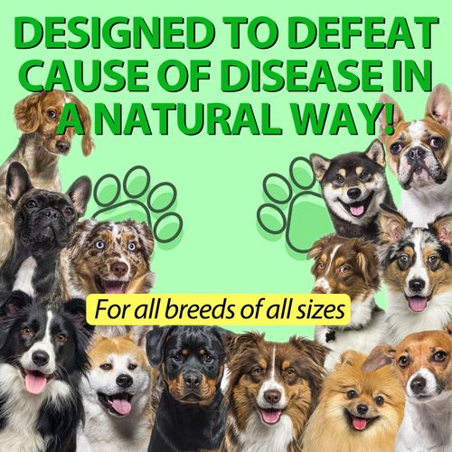 Dog Anti Biotic Drops 100% Natural for Immune System Support & Anti-Inflammatory — image 8