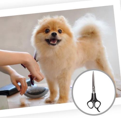 Pet Dog Clippers Electric Cordless Hair Shaver Professional Grooming Trimmer Kit — image 6
