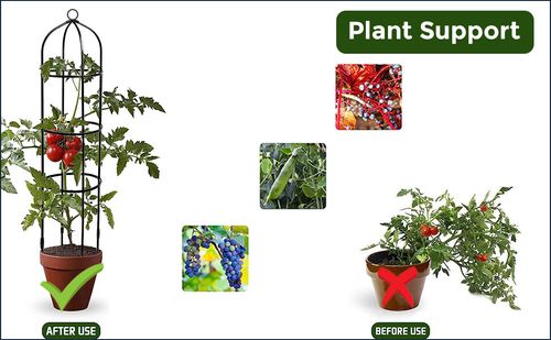 1.9m Outdoor Garden Metal Obelisk Climbing Plant Support Frame Trellis New — image 3