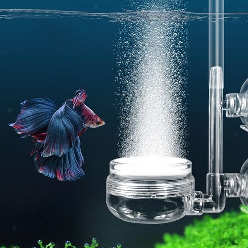 Aquarium Air Purifier, Aquarium Bubble Diffuser, Aquarium CO2 Diffuser, Bubble — image 7