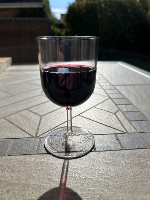 Plastic Wine Glasses - Unbreakable & Reusable Polycarbonate — image 2