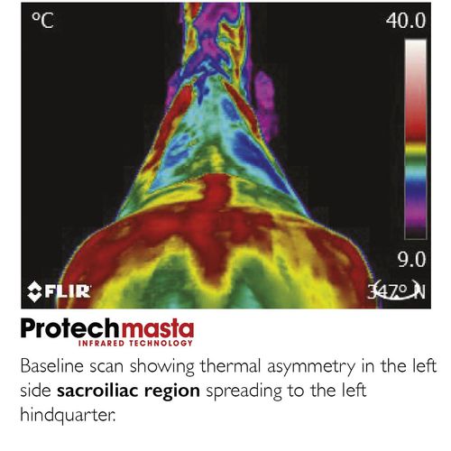 Protechmasta Far Infrared Therapy 200g Mediumweight Stable Rug Black — image 3