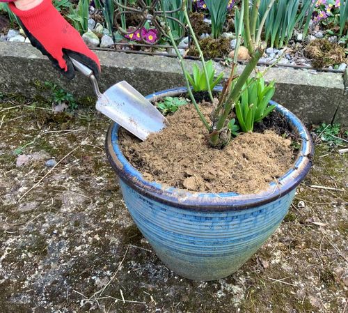 2Kg DRIED POWDERED LIGHTWEIGHT HORSE MANURE EASY USE - COMPOST JUST ADD WATER — image 7