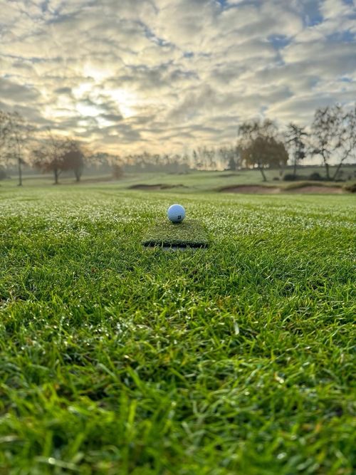 Spurk short pile grass winter golf mat — image 5