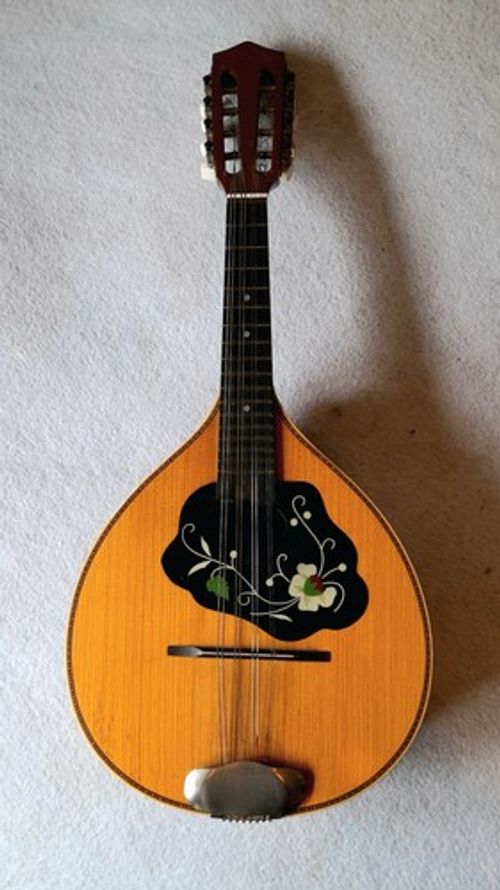8 string Mandolin in good working and cosmetic condition