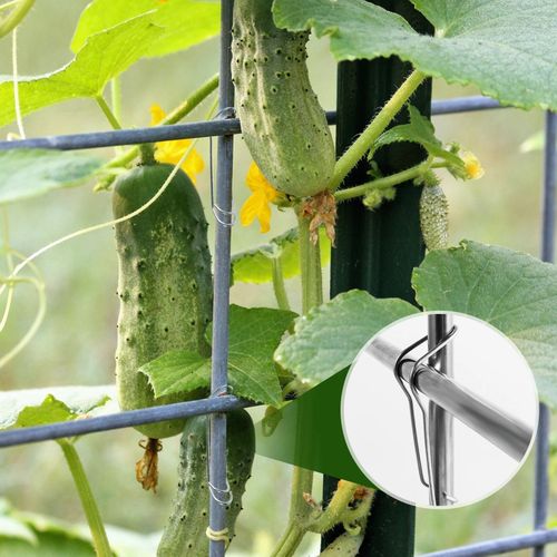 Garden tools Plant Connecting Buckles Climbing Pipe Support Fixing Tool 40pcs — image 5