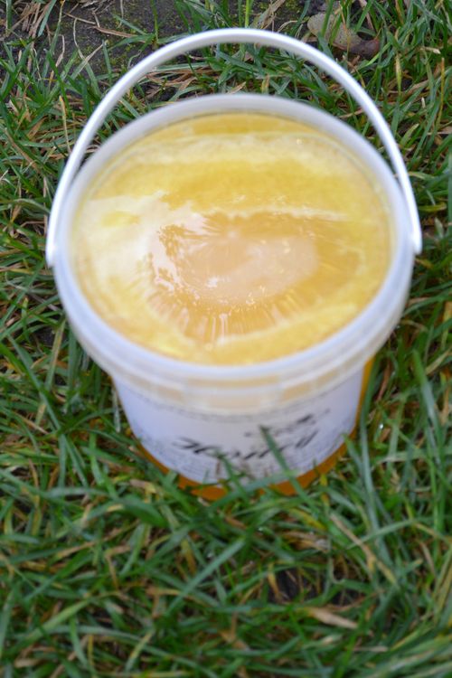 1.5kg WILDFLOWER HONEY 100% ORGANIC PURE RAW NATURAL-(NEW HARVEST 2026) — image 3