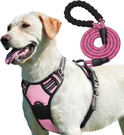 Adjustable No Pull Dog Harness with Free Heavy Duty 5ft Dog Leash by Petbuds UK