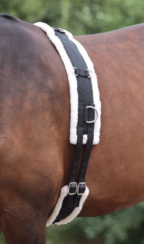 Shires Nylon Roller Soft Fleece Lunge Padding Adjustable Lunging Training