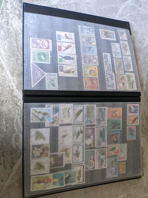 Birds of the World Stamps .over  1250 stamps , lee than 15p each — image 15