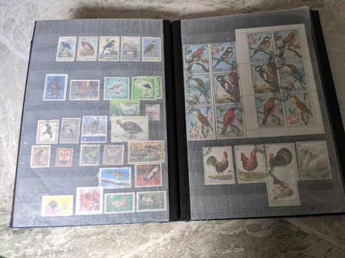 Birds of the World Stamps .over  1250 stamps , lee than 15p each — image 5