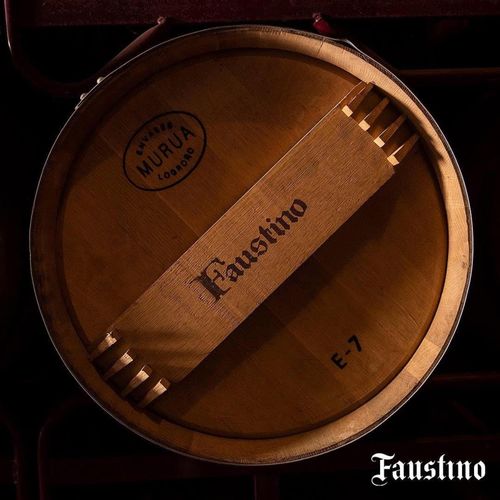 Faustino I Rioja Tinto Gran Reserva 2016 75cl — image 6