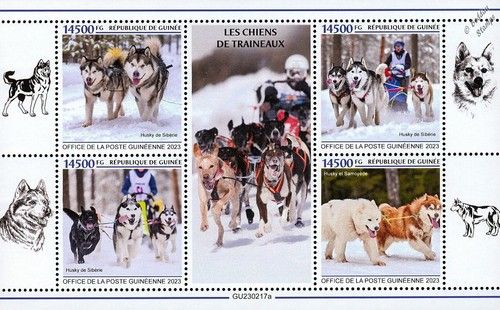 SLED DOGS Siberian Husky & Samoyed Arctic Sledge Dog Stamp Sheet (2023 Guinea)