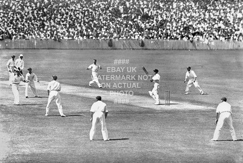 1933 ASHES ENGLAND CRICKET QUALITY PHOTO PRINT PLAYER TEAM