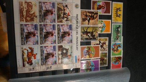 Topical collection Sports Poland other mostly NH stamps High CV