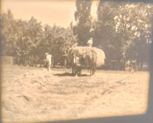 16mm CINE FILM HOME MOVIE FAMILY HORSES CHILDREN PLAYING GAMES CHARMING 1930s — image 3