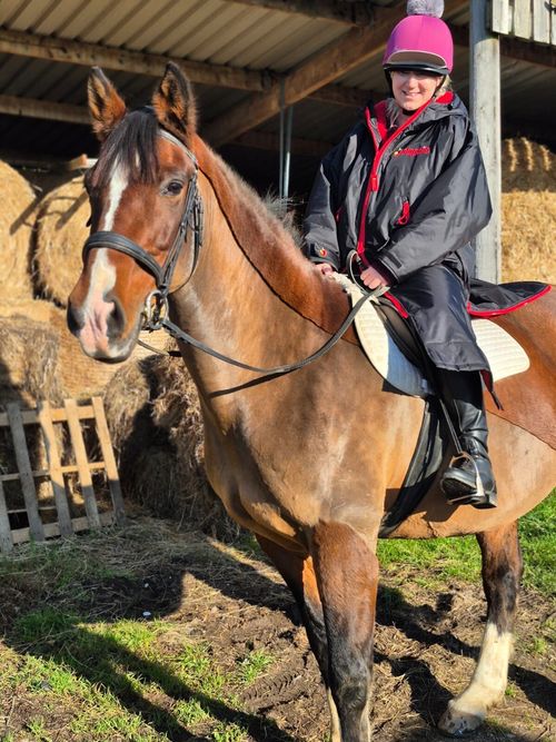 CLEARANCE SALE  Equestrian Premium Change Robes. Jalapeno Stary warm and dry — image 6