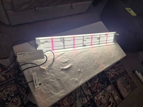 HortiONE 592 V2 190W Professional LED Grow Light + Driver & Dimmer