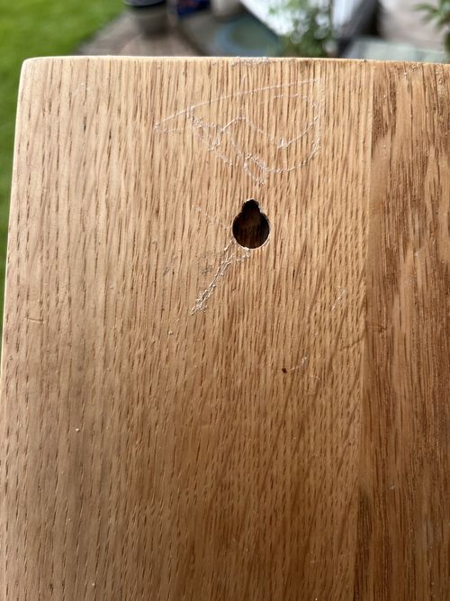 Antique Wall Mounted Cast Brass Bell Mounted On Oak Plinth — image 5