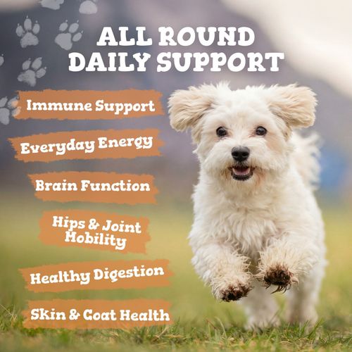 Multivitamins for Dogs - 16 Nutrients - Hip, Joint, Skin, Coat & Immune Support — image 3