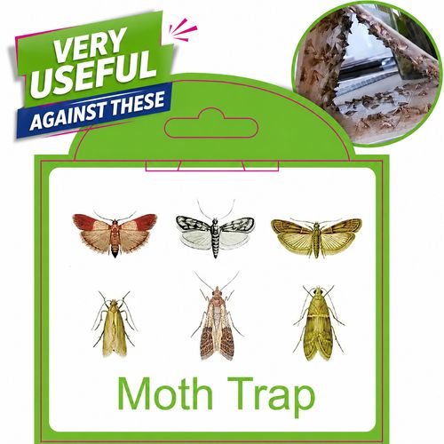 6x Pheromone Moth Traps Sticky Pest Control Pantry Clothes Non-Toxic — image 2