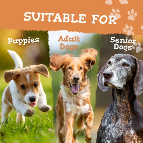 Multivitamins for Dogs - 16 Nutrients - Hip, Joint, Skin, Coat & Immune Support — image 7