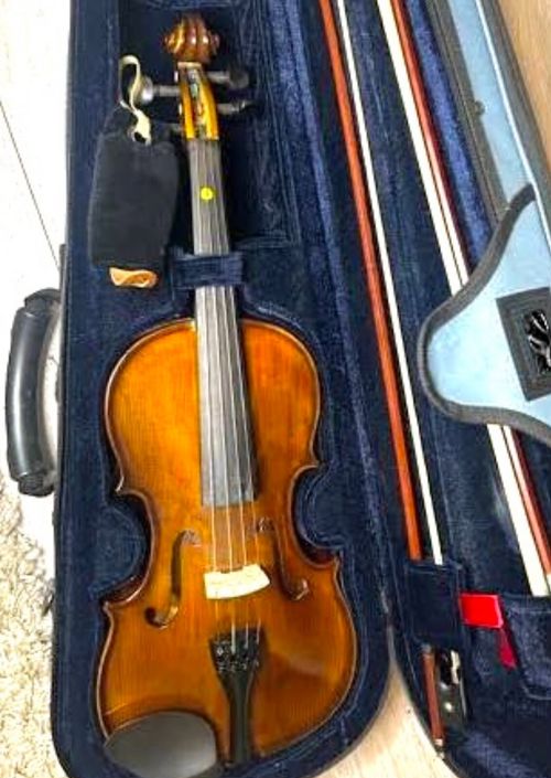 Viola — image 1
