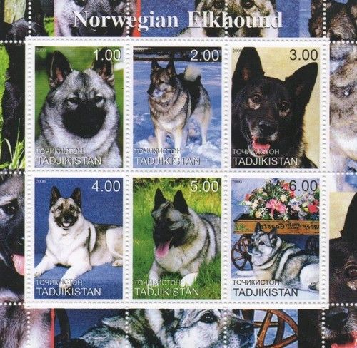 NORWEGIAN ELKHOUND CANINE ANIMAL DOG 2000 MNH STAMP SHEETLET