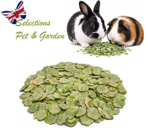 Flaked Peas 100g-1kg For Rabbits Guinea Pigs Hamsters High In Vitamins