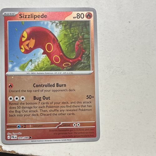 Pokémon TCG PBL Foil Holo 14-Card and reverse and they normal cards come with — image 8