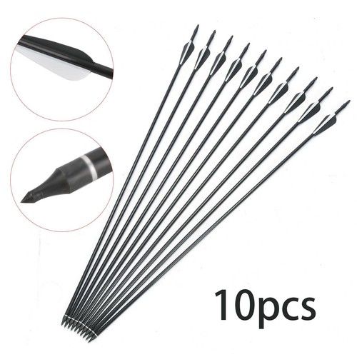 10pcs Fiberglass Arrows Archery 30 Inch Target Shooting Practice Safetyglass