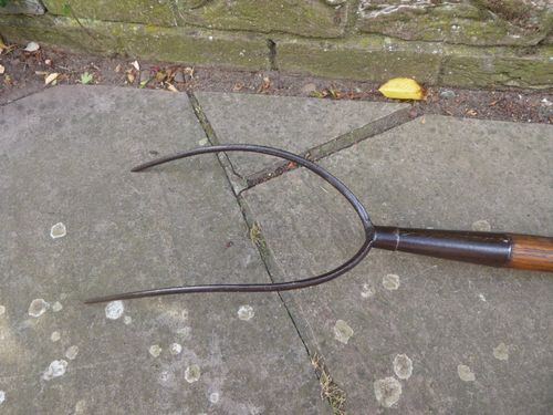 Vintage Pitch Fork - hay fork - 2 Prong Old Farm Tool. Long wooden handle. — image 10