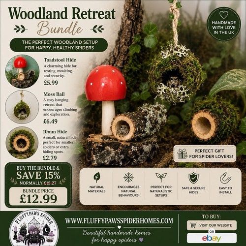 Woodland Retreat Bundle for Jumping Spider/Reptile Enclosures Set Up Kits New