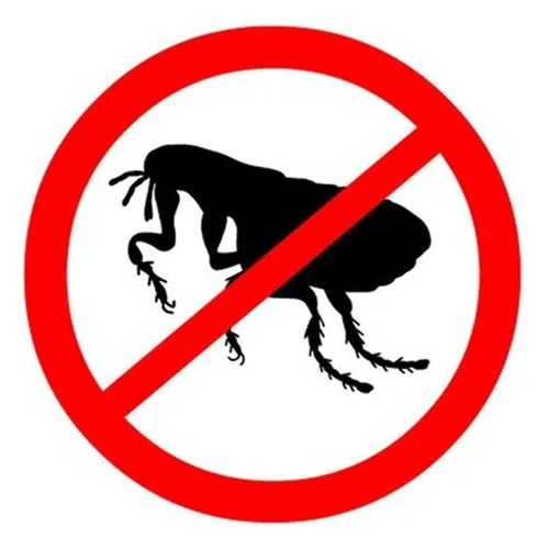 3 x RENTOKIL FLEA KILLER SPRAY 300ML FOR HOME USE DUST MITE HOUSEHOLD KILLER NEW — image 9