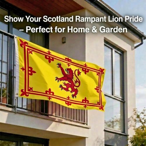 Large Scotland Rampant Lion Flag Rugby Football World Cup Scottish Fan Support — image 3