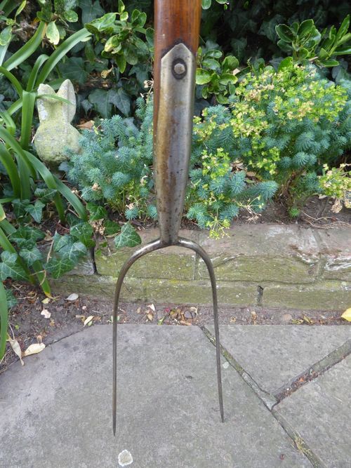Vintage Pitch Fork - 2 Prong hay fork - Old Farm Tool. Long wooden handle. — image 11