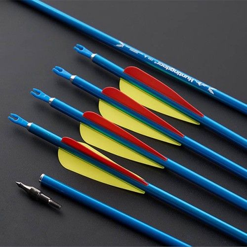 6/12pcs 30" Aluminum Arrows Screw-in Tips SP550 Archery Outdoor Hunting Target