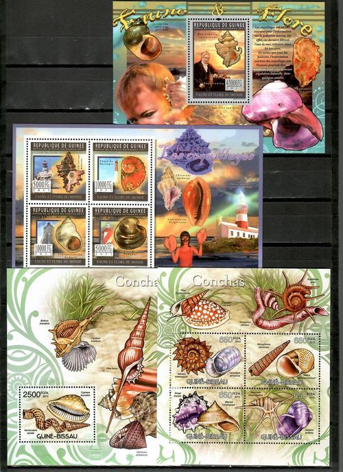 SHELLS Marine Fauna Collection 50 s/s Mi. CV 553€ MNH FREE SHIPPING #CNA145 — image 13